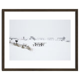 Tables and benches in a snow-covered park thumbnail