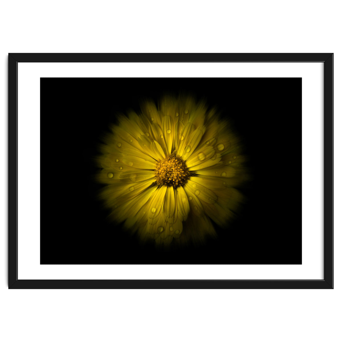 Backyard Flowers No 10 Color Flow Version