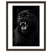 Black leopard with colorful eyes portrait