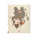 The First Plant · M2 (Print Only) thumbnail