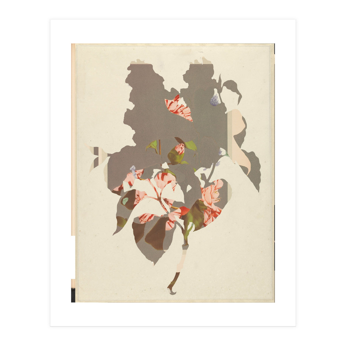 The First Plant · M2 (Print Only)