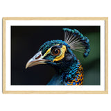 Close-up of a Peacock’s Head thumbnail