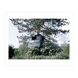 Blue hut on the tree (Print Only) thumbnail