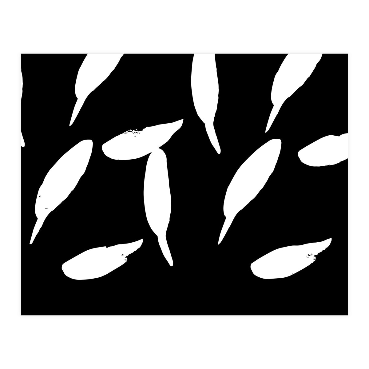 Free Fall (Print Only)