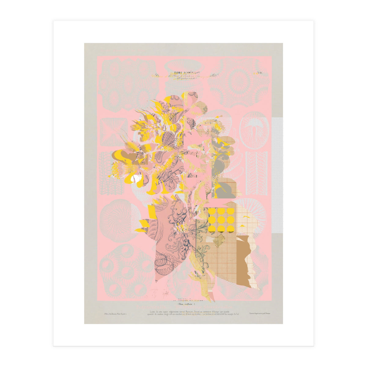 The First Plant · Tuesday Mix Mit Resten (Print Only)