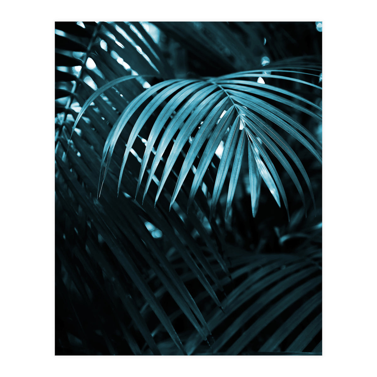 Blue Jungle Palm Ii (Print Only)