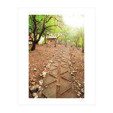 WISE (Print Only) thumbnail