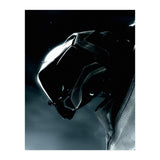 Halo (Print Only) thumbnail