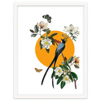 collage floral birds