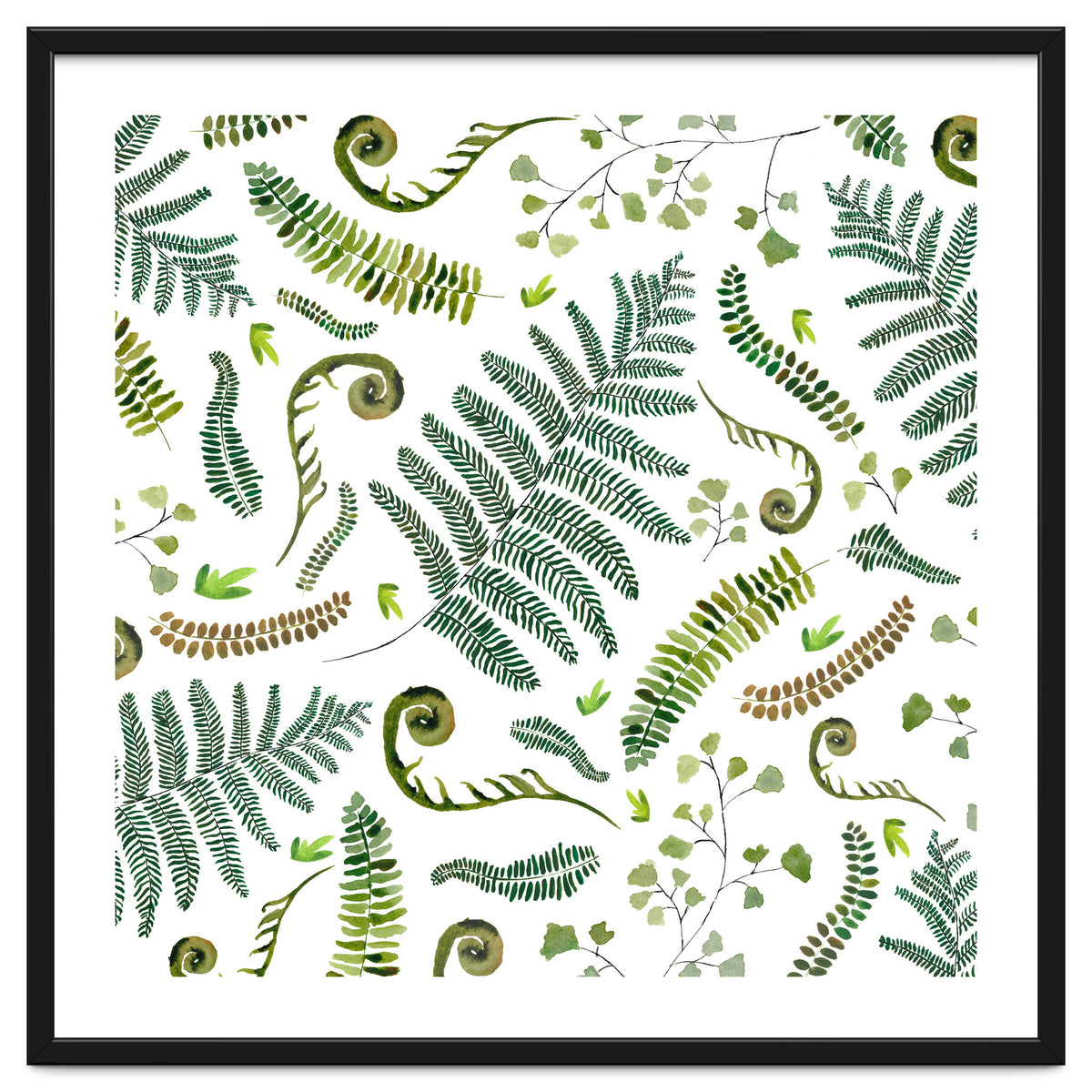 Spring Fern Pattern