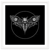 Deaths Head Moth thumbnail