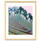 Palm Springs thumbnail