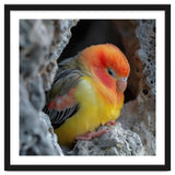 Cute Lovebird Perched On A Rock In A Cave thumbnail