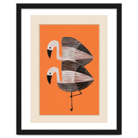 Tangerine Flamingos