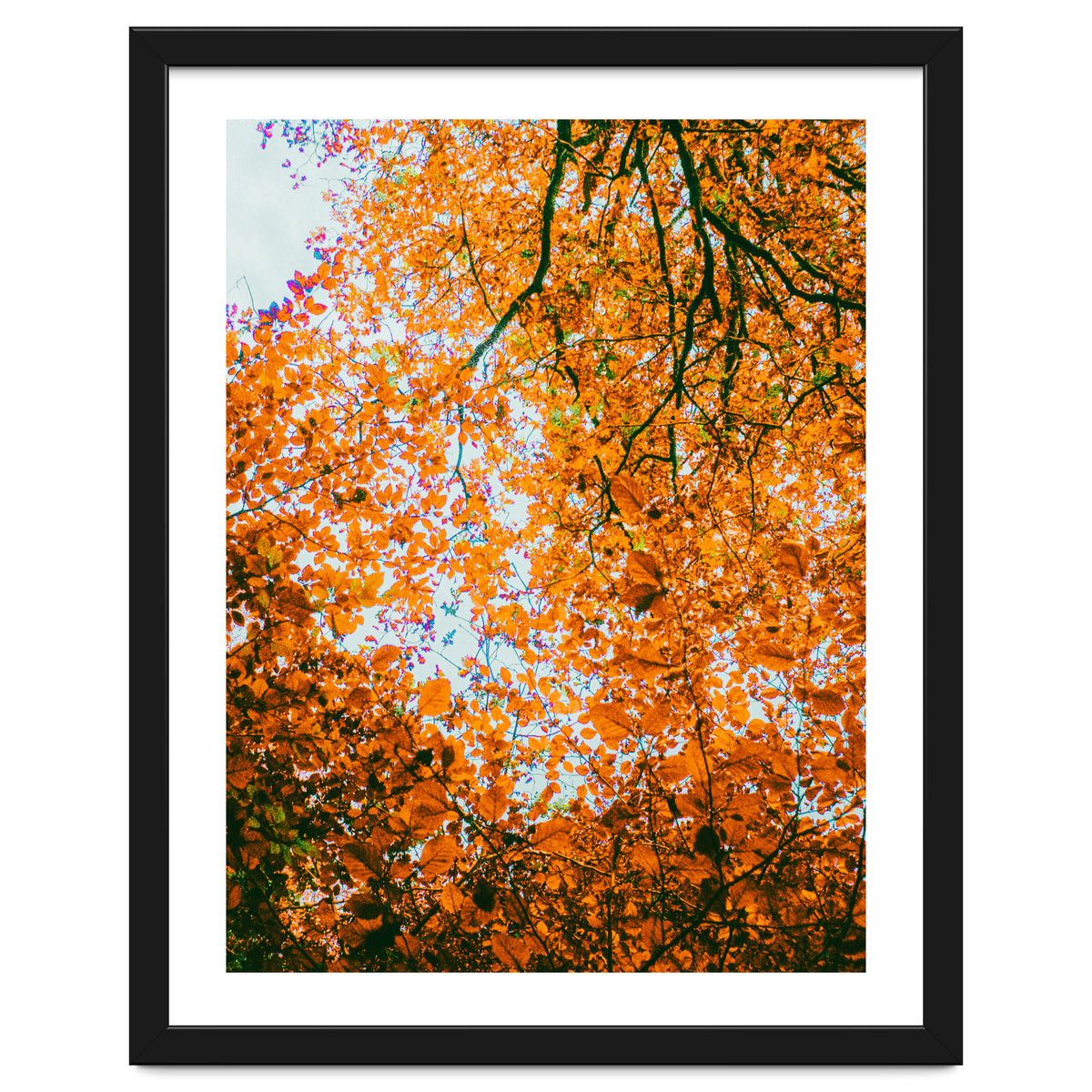 Autumn Leaves