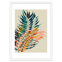 Colorful Palm Leaves