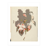 The First Plant · M2 (Print Only) thumbnail