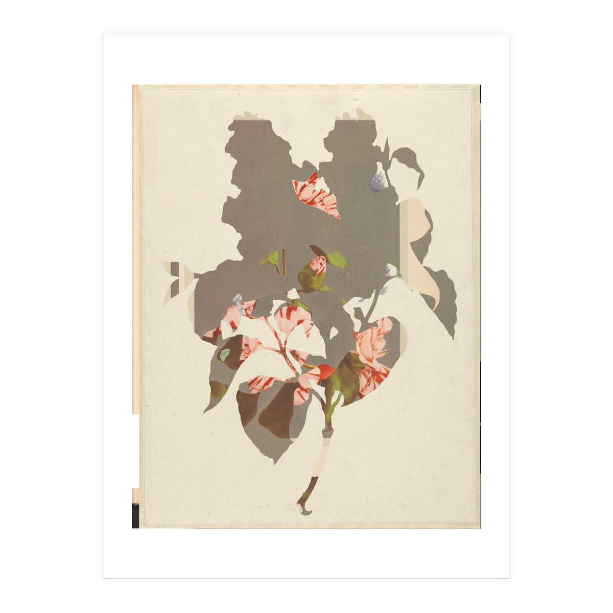 The First Plant · M2 (Print Only)