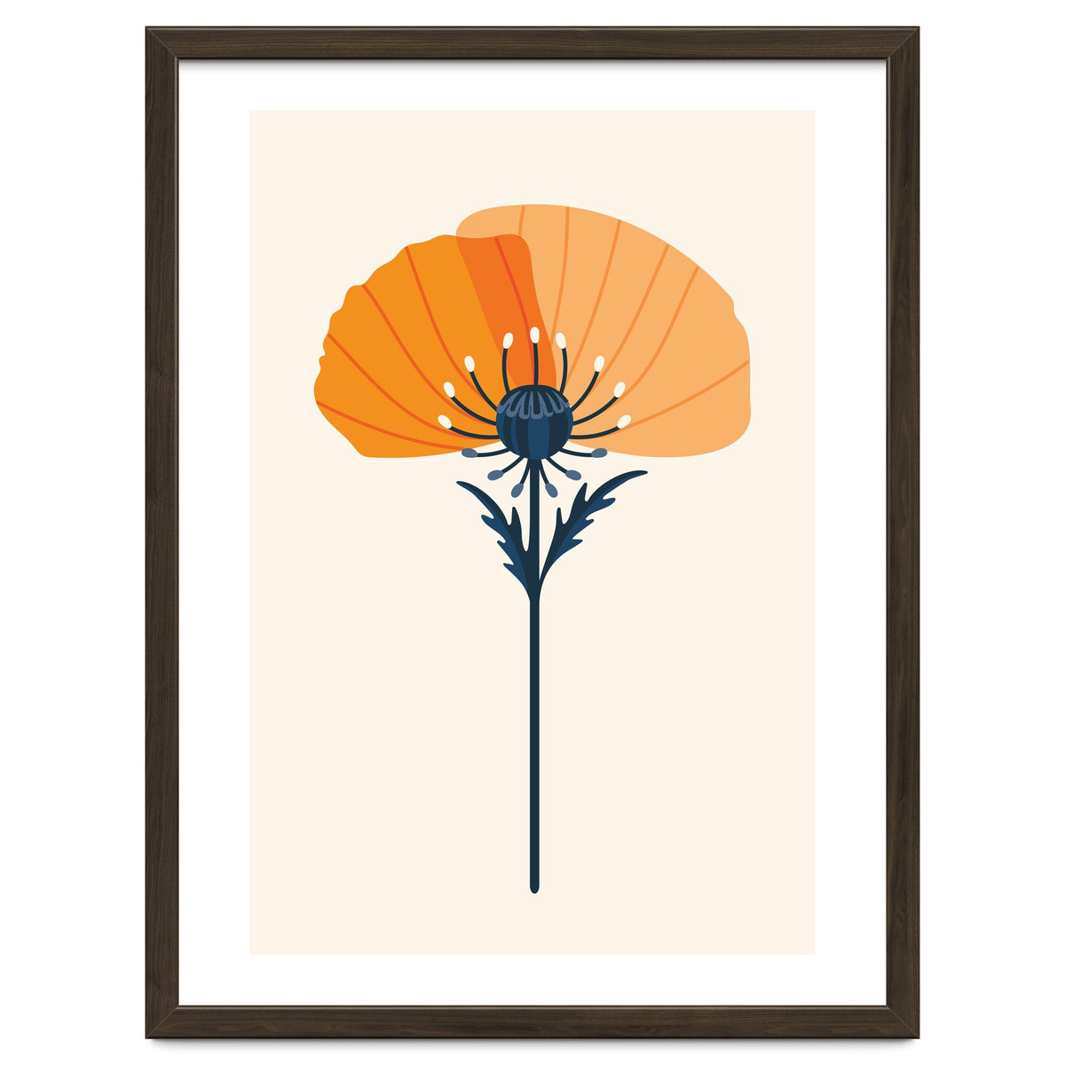 Orange Half Poppy