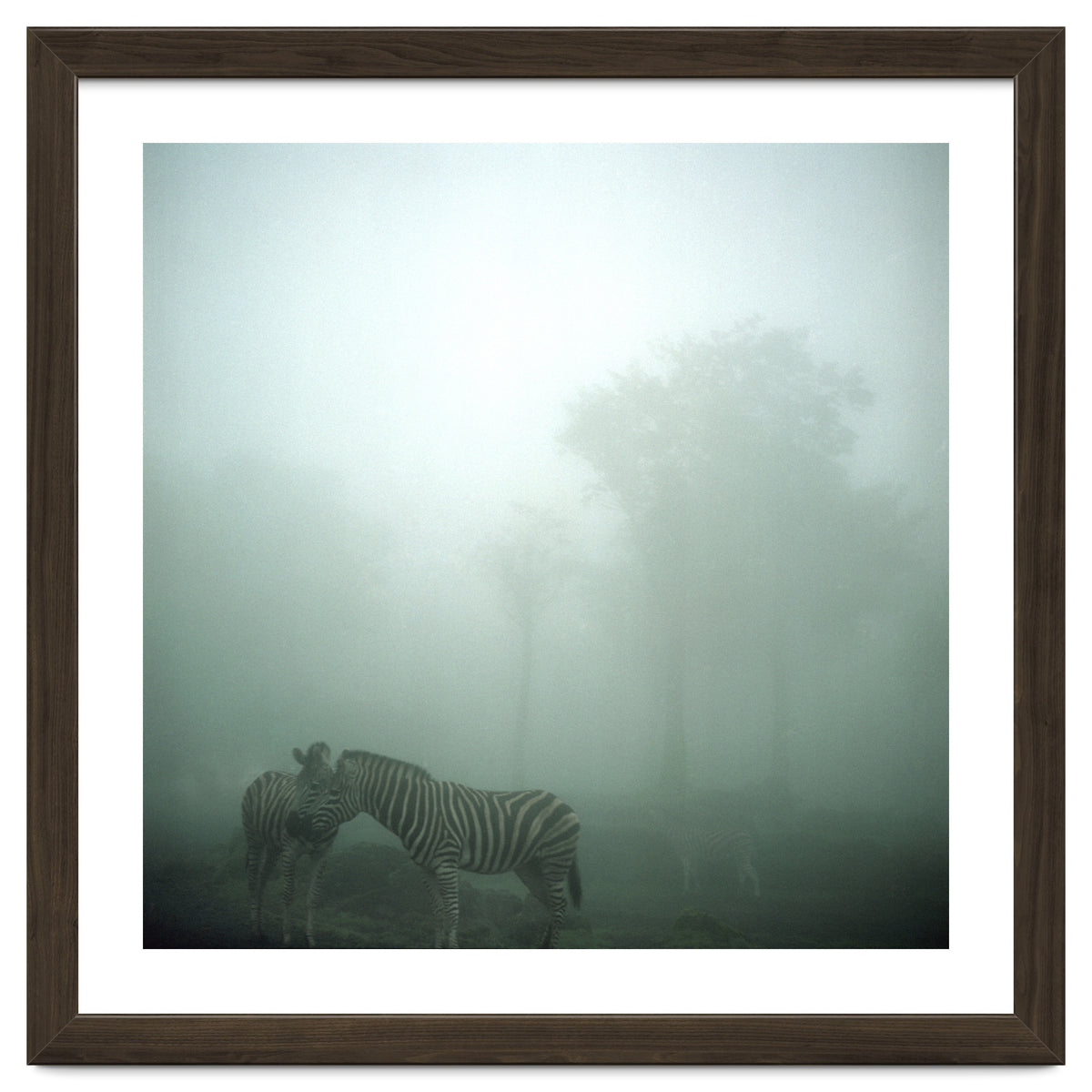 Silence of breath - 15