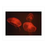 At the aquarium #4 (Print Only) thumbnail