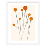 Dreaming Daisies thumbnail