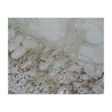 Life And Souls (Print Only) thumbnail