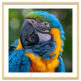 Close Up Blue And Yellow Macaw Parrot Face thumbnail