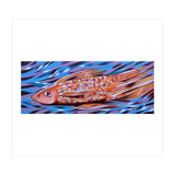 Little fish (Print Only) thumbnail