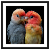 Two Lovebirds Nuzzle Together thumbnail