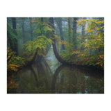 The bent trees (Print Only) thumbnail