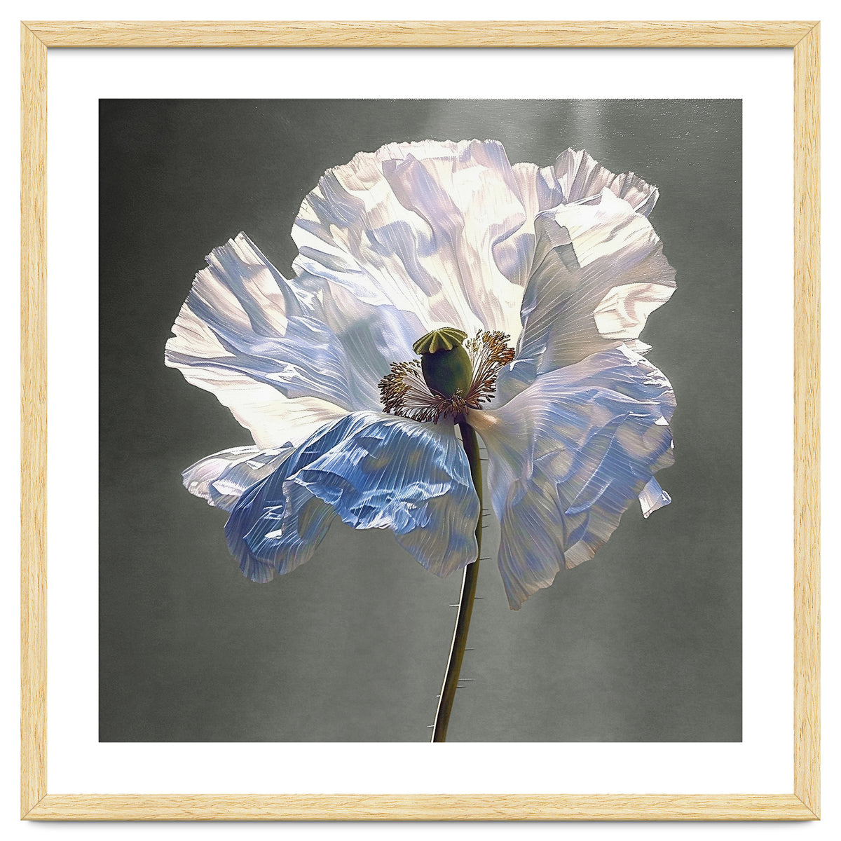 Shirley Poppy | Morning Silk