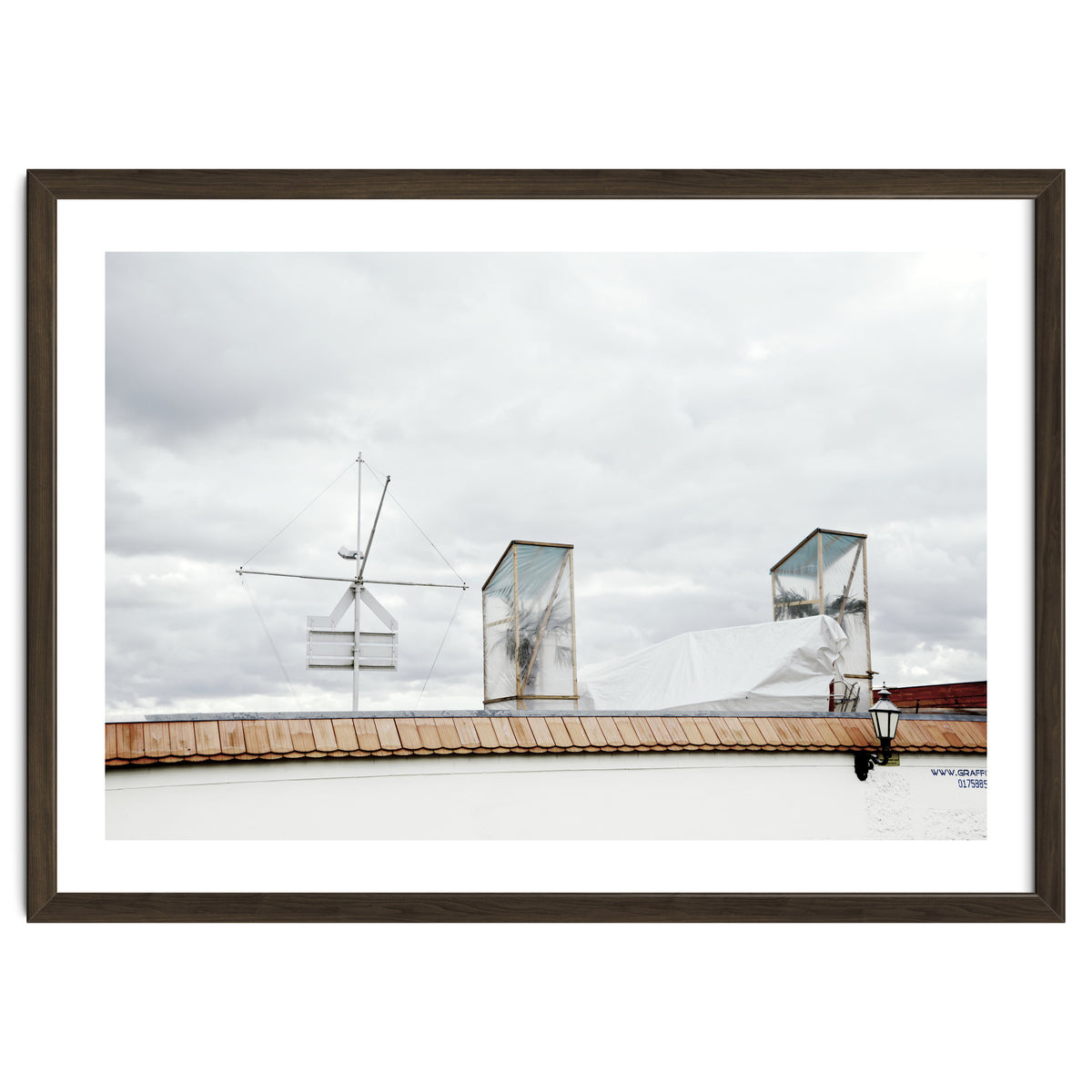 Palm tree waiting for summer