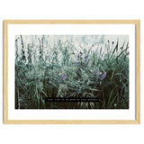Photography - Summer Garden thumbnail