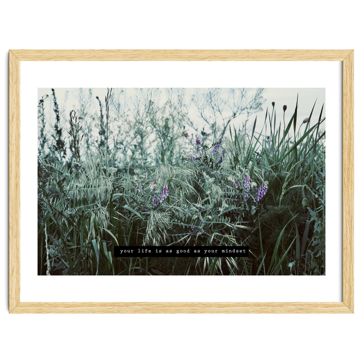 Photography - Summer Garden