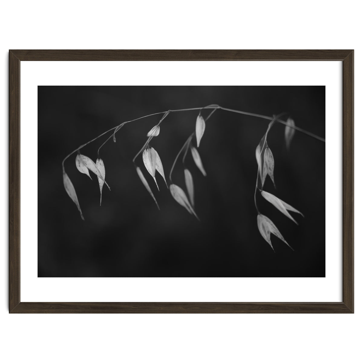 In light of current events II