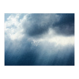 Rain (Print Only) thumbnail