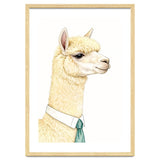 Alpaca thumbnail