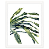 Green Palm Leaves thumbnail