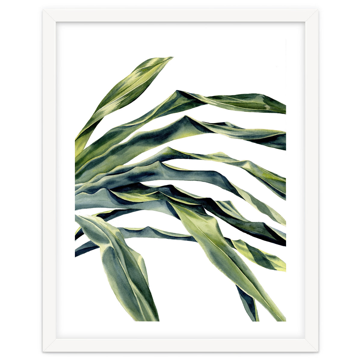 Green Palm Leaves