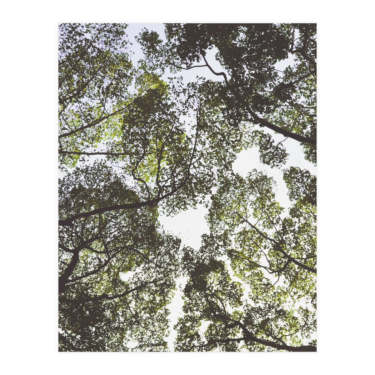 Mother Nature (Print Only)