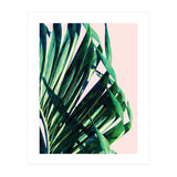 Palm V2 (Print Only) thumbnail