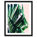 Palm V2 thumbnail