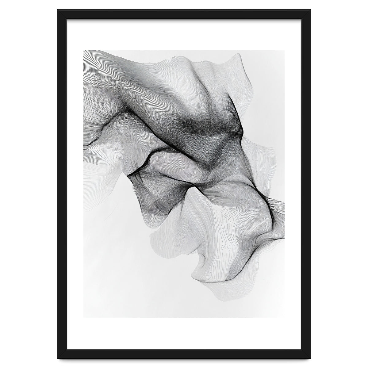 Abstract Black And White Flowing Lines Forming Organic Shapes And Forms