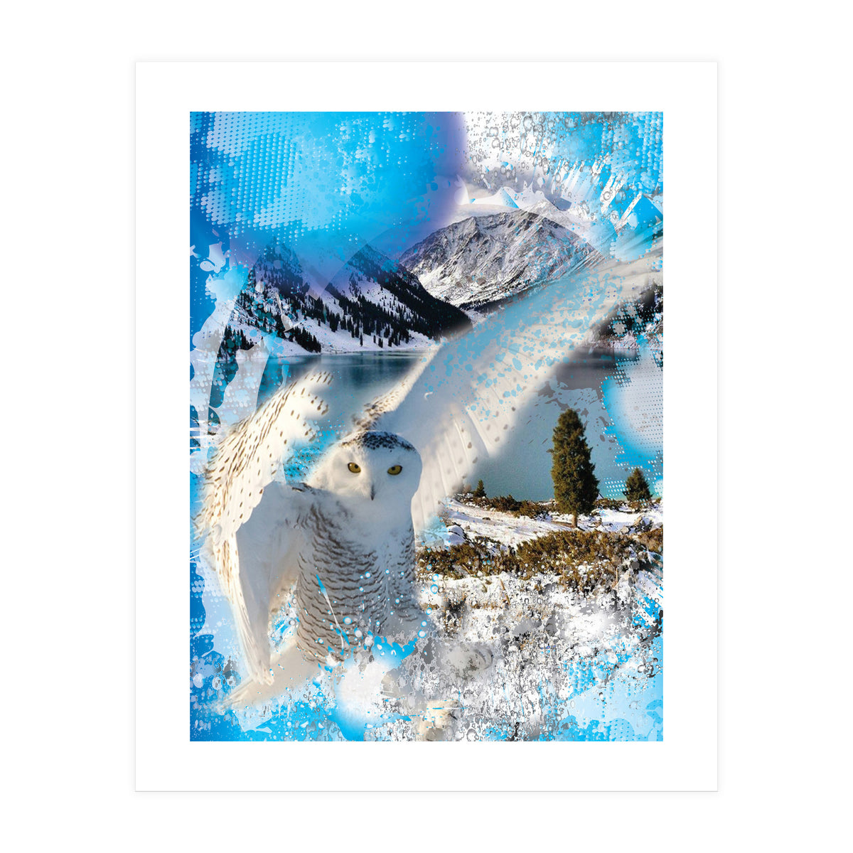 Snow Owl (Print Only)