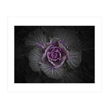 Backyard Flowers No 108 Color Version (Print Only) thumbnail