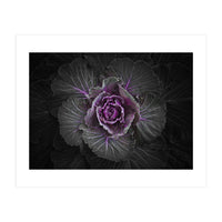 Backyard Flowers No 108 Color Version (Print Only)