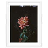 Romantic thumbnail