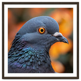 Close Up Of A Pigeon's Head And Neck thumbnail