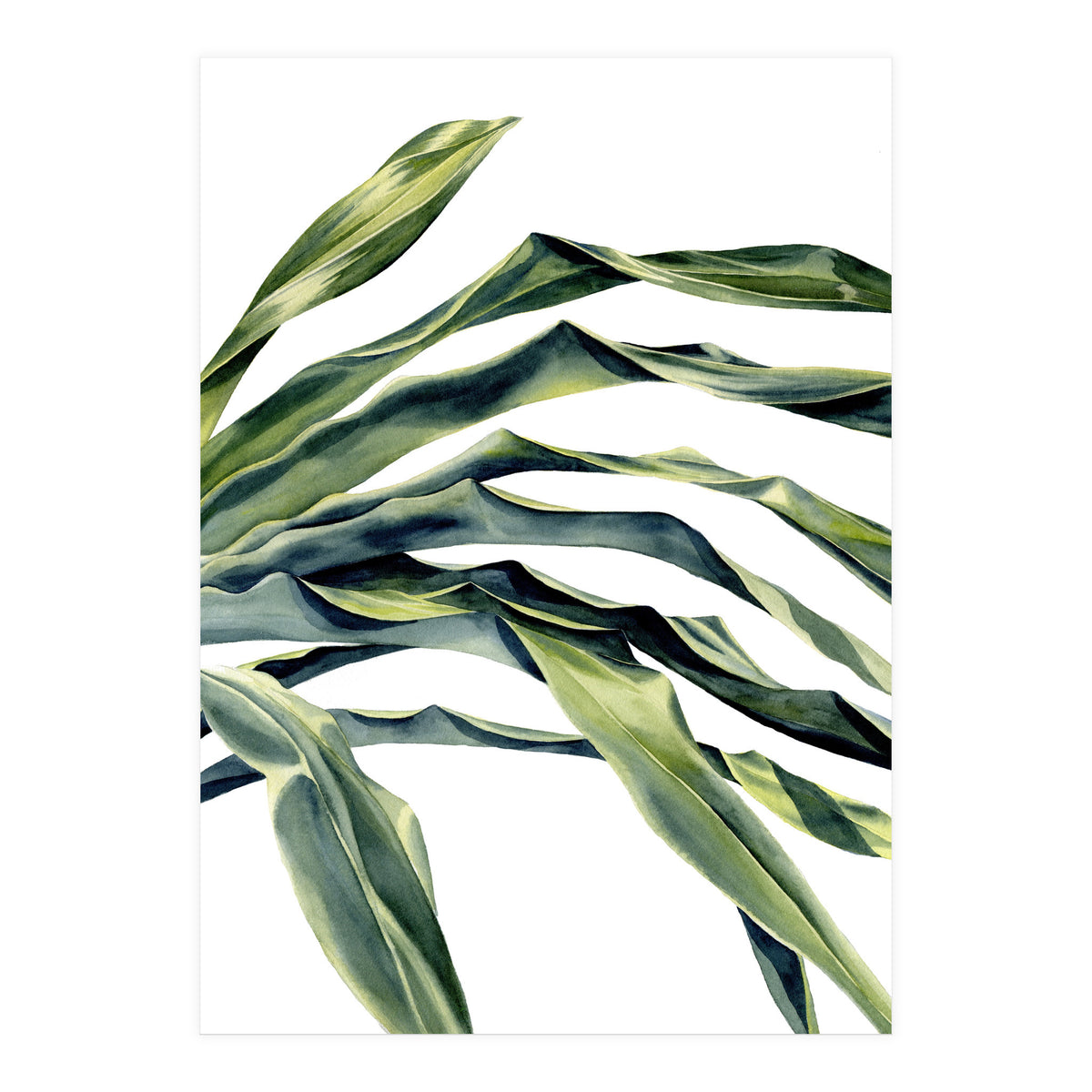 Green Palm Leaves (Print Only)
